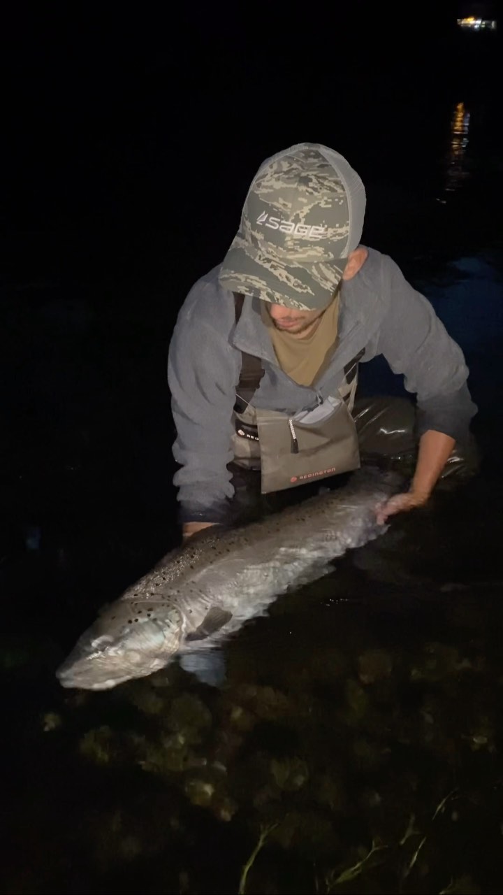 Monster trout.
Truite prise par mon ami Cedric Nolin grâce à un travail d’équipe à deux. Réussir à attraper ce poisson à deux et avoir ce monstre entre mes mains a été une expérience incroyable pour moi.
#trout #monstertrout #troutonfly #troutbum #troutflies #troutporn #troutfly #trouthunting #troutunlimited #browntrout #browntroutflyfishing #release #troutriver #flyfishing #flyfishingjunkie