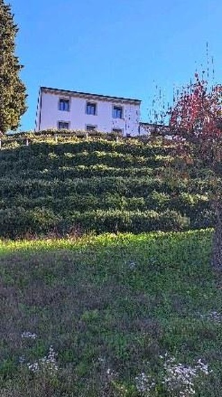 Villa Rocco Country House sits on a hill overlooking the Monferrato vineyards which became a Unesco World Heritage Site in 2014.
Our guests love the peace, the tranquility and the incredible beauty of the landscape. Yet, we are minutes away from fantastic restaurants, wonderful winerys and beautiful villages.
If you book directly with us the jacuzzi is free and if you book 2 nights or more we also offer you a free apperativo!
#monferratounesco #monferratodelights
#discover piemonte #italy_vacations
#visititaly #piemonteturismo
#italien #countryhouse
#italia #visitpiemonte
#ig_piemonte
#igerspiemonte