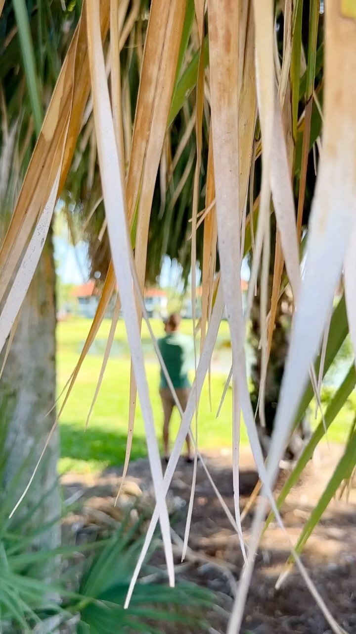 This one time I actually got away with scaring him. Today was not that day.
#shenanigans #marriedpeople #funatwork #makeitagreatday #realestatephotographer #naplesfloridalife #naplesfl #vineyardscountryclubnaples