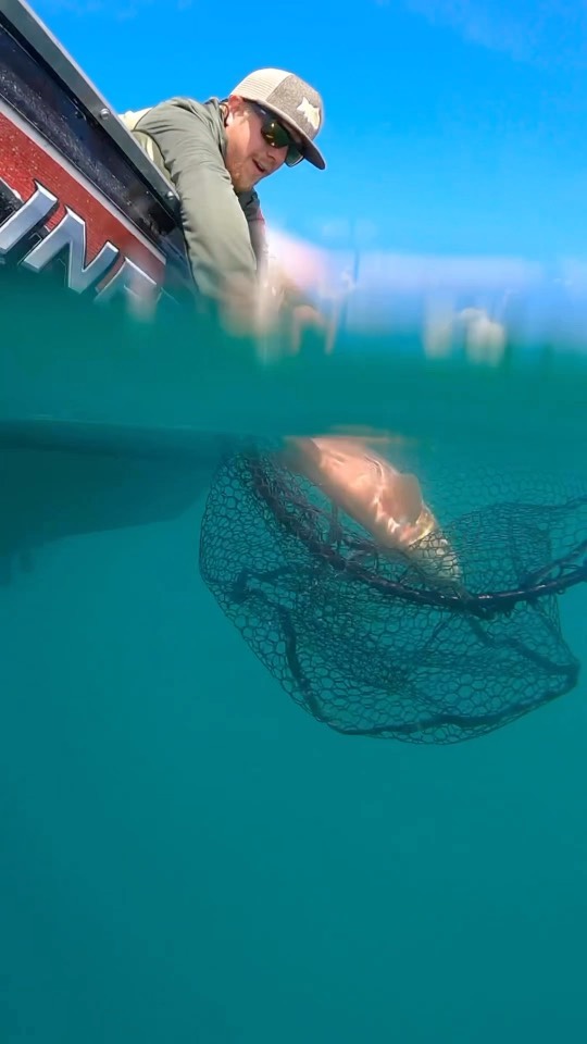 Sunrise views from the boat just hit different, mix in monster cutthroat trout on the fly and it’s the ultimate experience.
•We have the best gear, electronics and knowledge of the lakes we guide to ensure you catch the fish of a lifetime!
• DM for Booking or visit www.Optimalanglingco.com for more info!
#reels #viral #fyp #rapsnap #guidedfishing #heavenonearth #mountainlovers #myofficehasthebestviews #crestlinerboats #flyfishing #flyordie #troutfishing #rainbowtrout #bulltrout #cutthroattrout #catchandrelease #letemgoletemgrow #trophyfish #guidedfishing #wheredreamsbecomereality #bigfish #hugefish #fishofalifetime #fishstagram