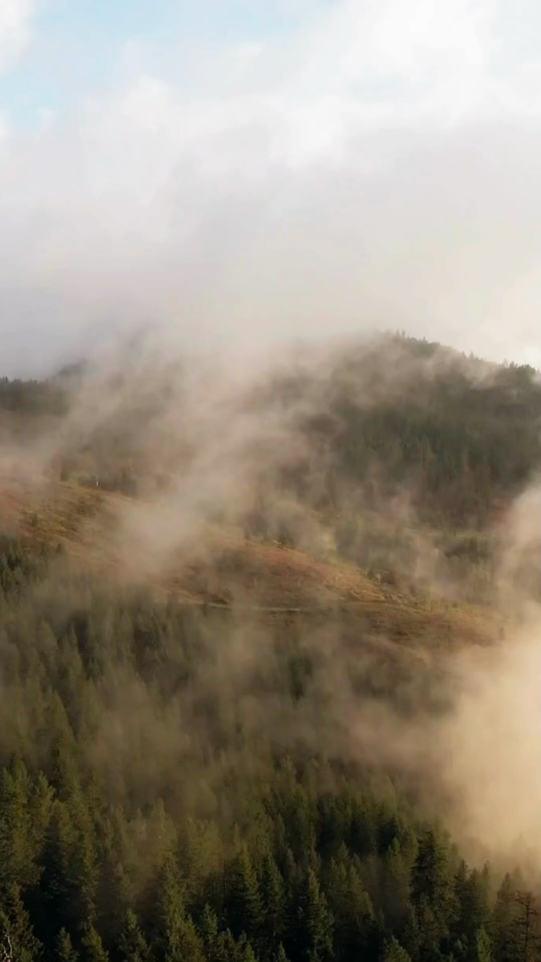 🌲 “Amidst the beauty of the wilderness, do we find our true selves?” 🏞️ Let Montegro be your companion on your journey of self-discovery. #montegro #natureinspired