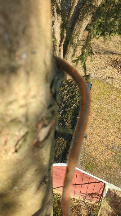 Home is when I'm alone with you.
#treelife🌳 #soloclimber