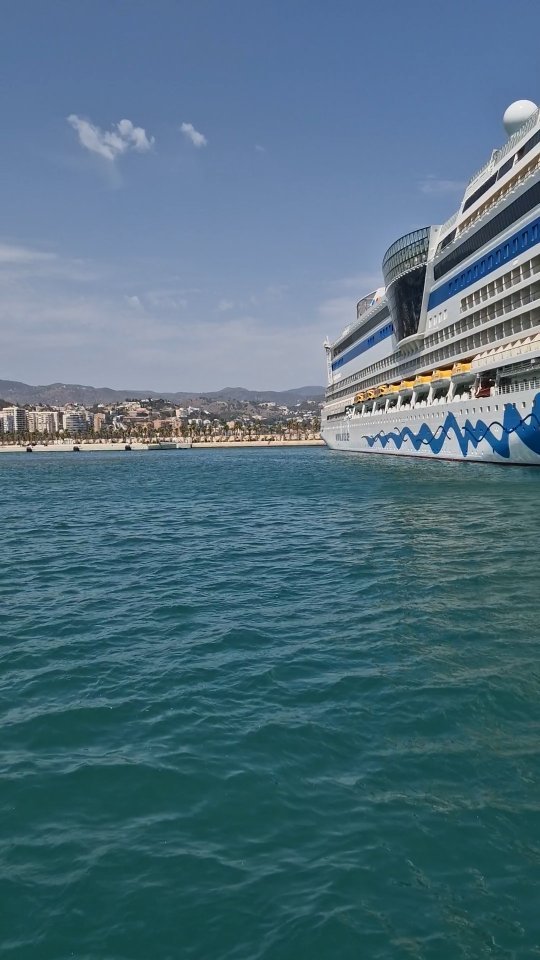 📍 Circles around Puerto de Málaga with the @flybluemalaga catamaran 🛥
.
.
.
.
.
.
#lovingmalaga #flyblue #malaga #malagalife #malagaturismo #malagaspain #málaga #malagatoday #andalucia #ckmalagalife #ok_malaga #ok_andalucia #españa #spain #estaes_malaga #visitspain #visitmalaga #costadelsol #ok_spain #photosofmalaga #malagaconacento #spain_all_pics #euinspi #summervibes #travel #travelphotography #livelovespain #latemalaga #enamoratedemalaga #latildedemalaga