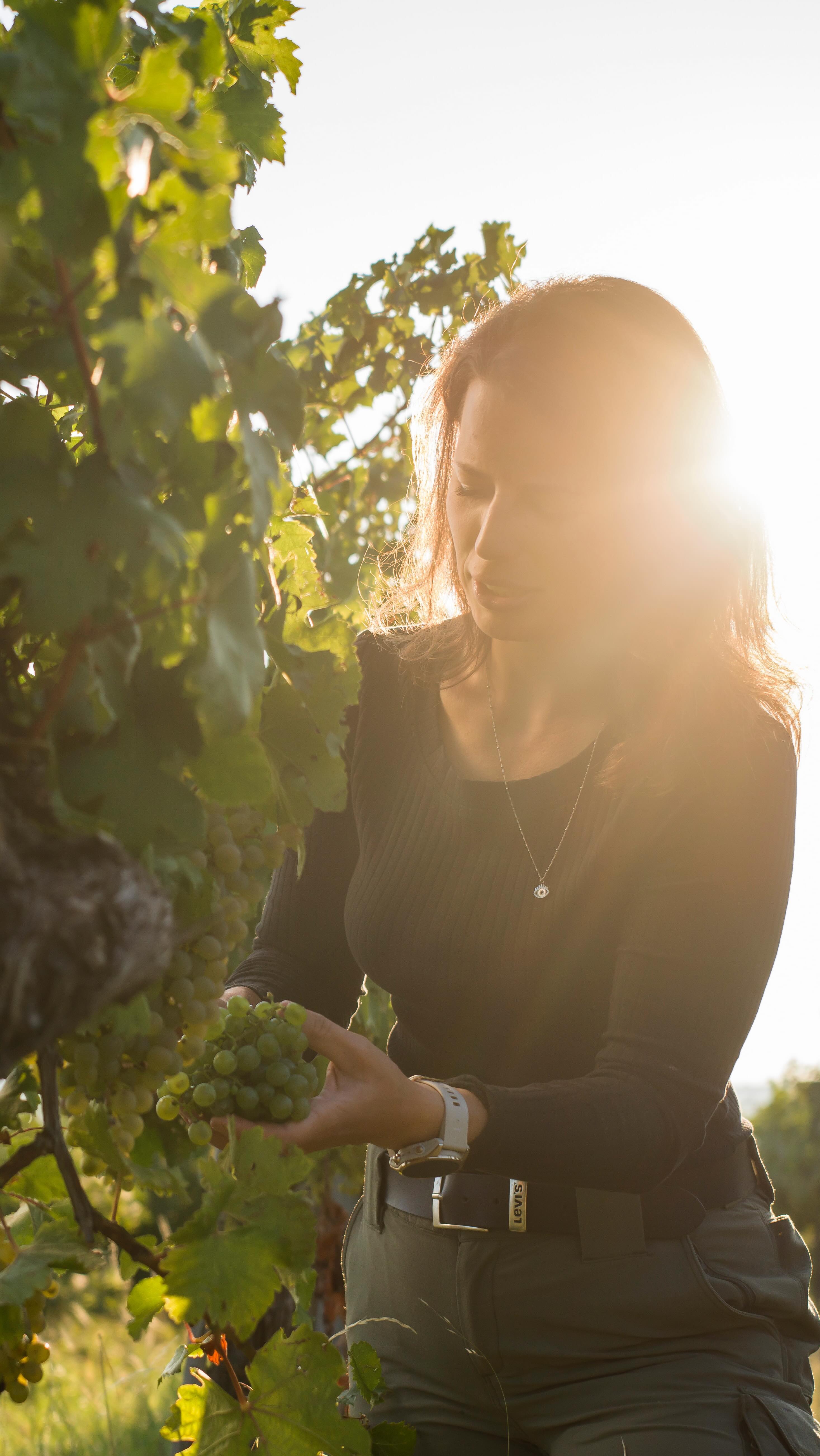 Because we love gluten and sprudel 🍾🎄 In diesem Sinne: merry Christmas und saufts euch an 🤍 #huglsprudel #merrychristmas
Thanks to @eblezer @goodgrapesnl for the wonderful inspiration - now that I follow your instructions you finally got to place that order 😋😋😋