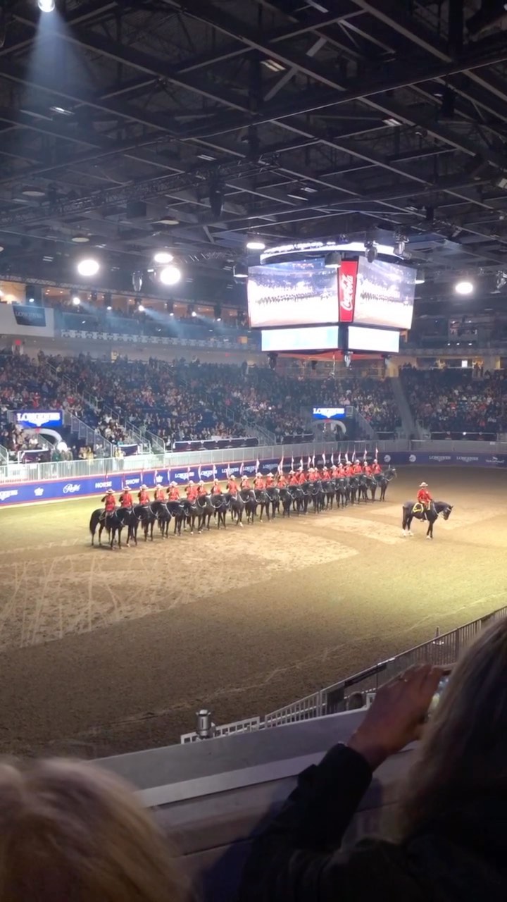 I loved the Musical Ride by @rcmpgrcpolice last weekend at the @theroyalfair! I was shocked to hear that some of the riders have only been riding for a year! Absolutely incredible reminder that it’s never too late to start something new. Enjoy 🐎🧲
.
.
.
.
.
.
#adventure #iwillwait #celebrationride #horses #horsesofinstagram #rcmp #horse #horseriding #horselover #horseshow #horselove #horseoftheday #royalwinterfair #rwf100 #rwf #rcmpmusicalride #musicalride #horsetraining #newstart #happiness #enjoy #animals #barn #event #toronto #torontolife #torontoevents #torontoevent