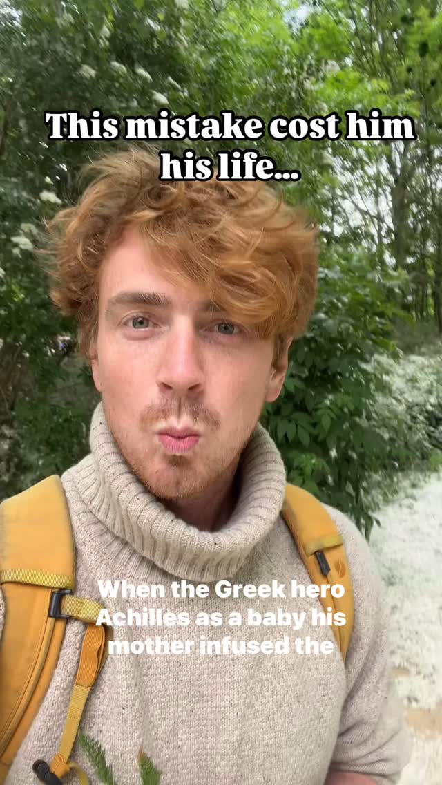 Follow @mindinnature for folklore and foraging.
Yarrow has the power to heal, and the myth of Achilles teaches this. Although yarrow couldn’t save him in the end, it has been used to treat wounds for millennia and has a host of other benefits from helping to stop period pains to aiding digestion.
#achilles #foraging #herbalmedicines #yarrow