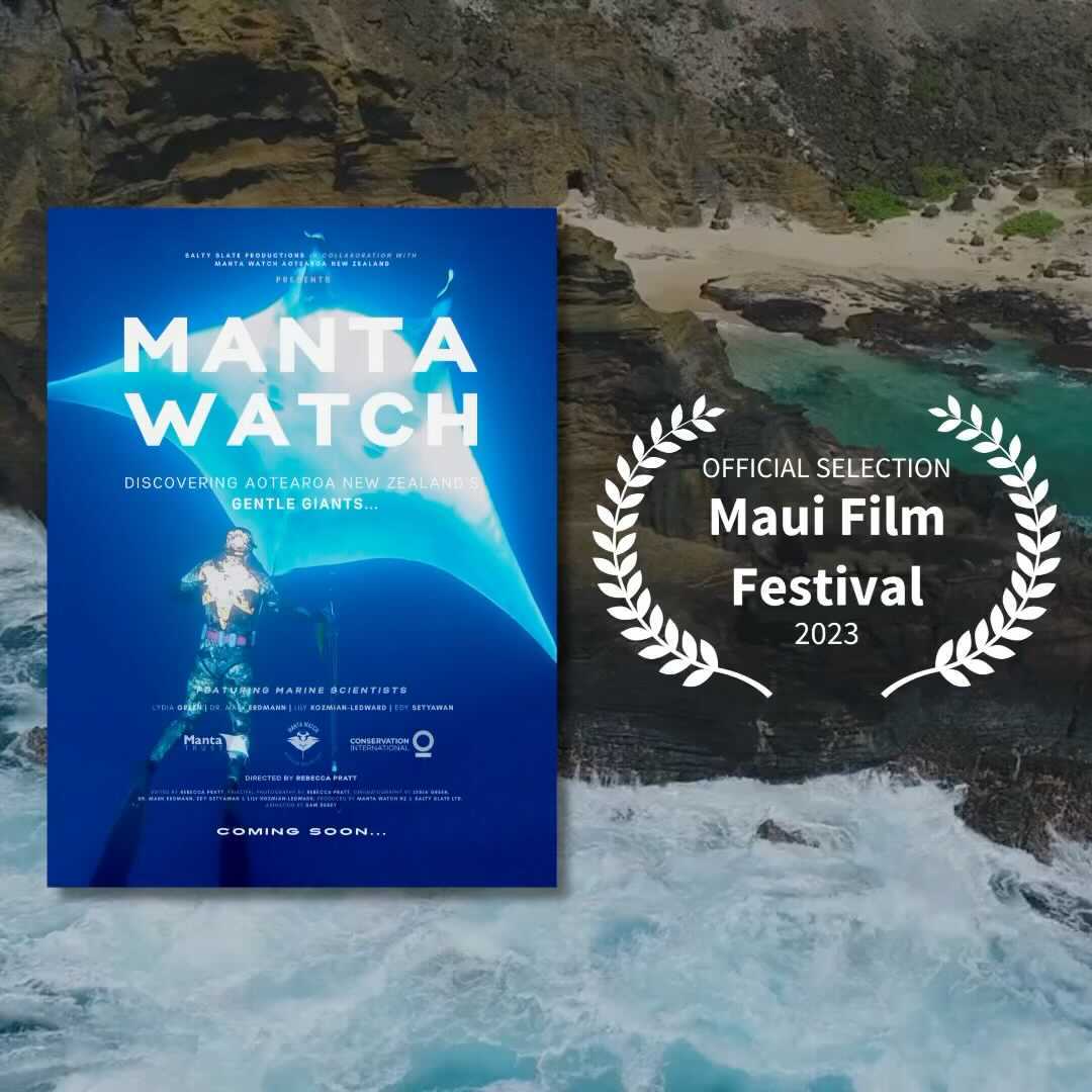 🥇 Our documentary ‘Manta Watch - Discovering Aotearoa’s Gentle Giants’ has been officially selected for Maui Film Festival 2023!
Proudly produced in collaboration with Manta Watch New Zealand, we’re stoked to have this informative, short doco screen as part of Maui Film Festival’s Speed-of-Light Virtual Cinema!
🎟 Get your festival tickets here: https://www.mauifilmfestival.com/2023virtualcinema
