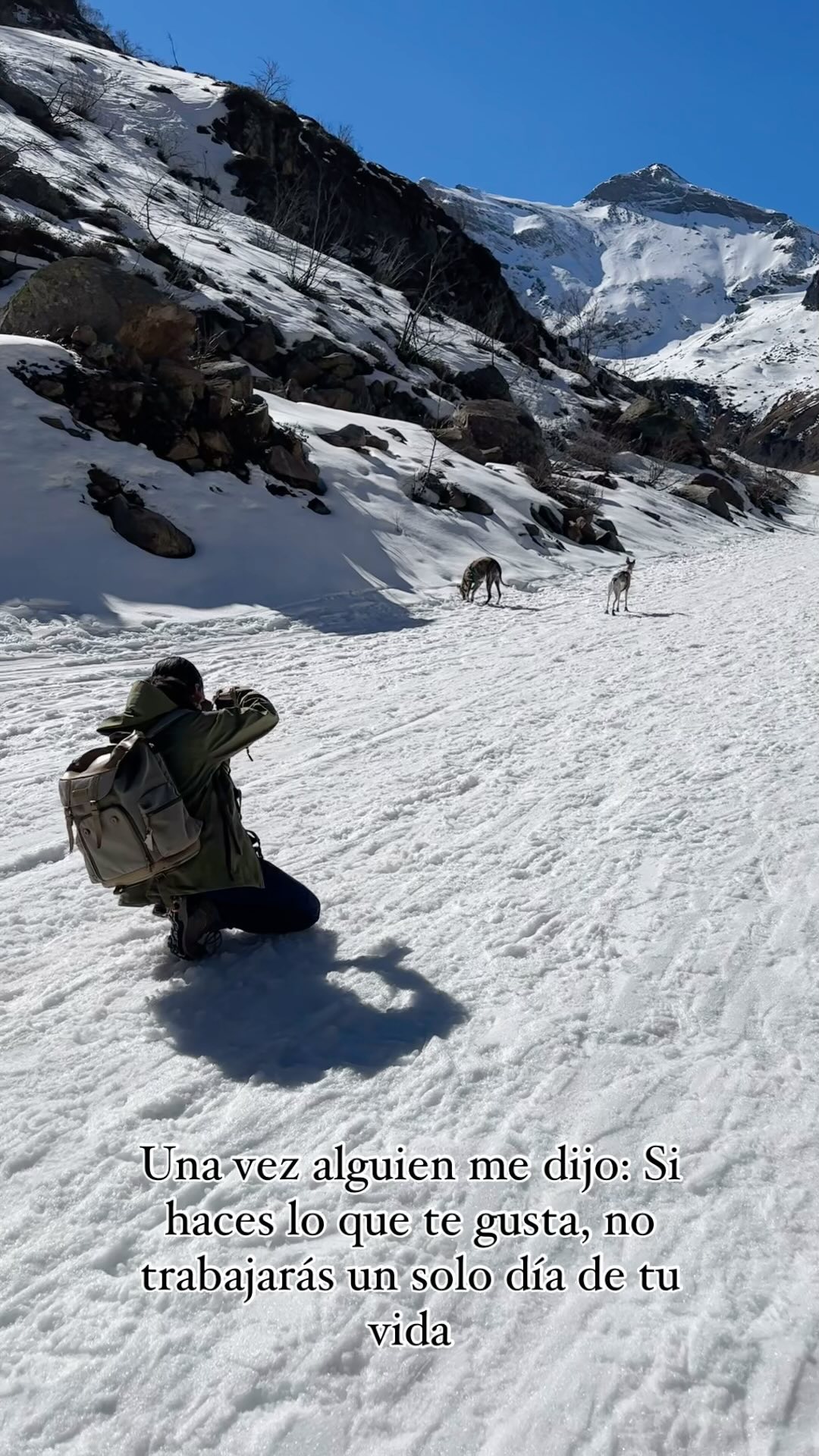 If you love what you do, you’ll never work a day in your life❤️🩹🐶📸
#dogphotography #dogphotographer #fotografodeperros #fotografiacanina #perrosespaña #nikonespaña