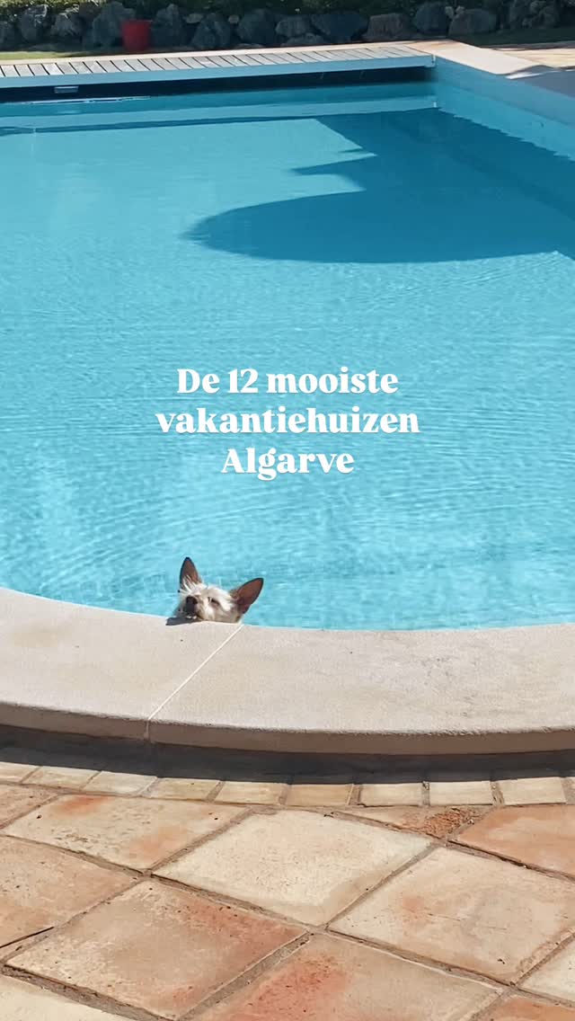 🇳🇱 Ik ontdekte laatst via Micazu.nl de allermooiste vakantiehuizen en mijn favorieten heb ik voor je op een lijstje gezet. 😍😍 Van romantisch met z’n tweeën tot luxe villa’s voor het hele gezin. Allemaal waanzinnige locaties en prachtige interieurs. Van budget tot next level luxe!
📍Check de pareltjes via de link in bio!
🇬🇧 ✨ Just discovered Micazu.com – and wow, the holiday homes in the Algarve are just next level.
From romantic hideaways to family villas – I made a list of my favorites (sorry... Dutch only for now!) but for sure have a look at Micazu.com
📍Find the gems via the link in bio!
#algarve #algarveportugal #algarvelovers #algarvecoast #algarvevakantie #algarveretreat #portugal #vakantieportugal #vakantiealgarve