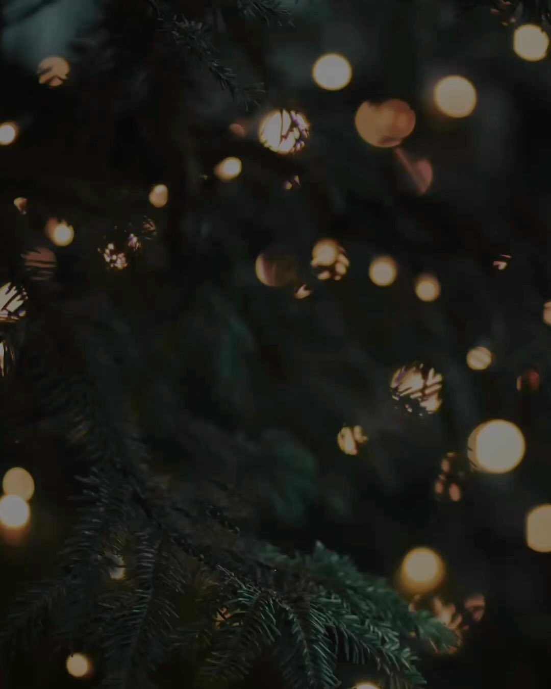 We wish you a wonderful year 2024!