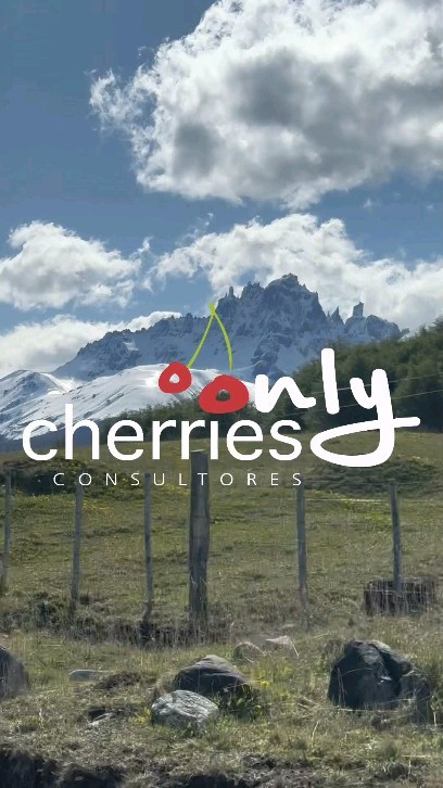 Chile Chico siempre sorprende. En un clima extremo y desafiante, tan distinto a todas las otras zonas que solemos visitar. Tan particular. Y ahí, en el sur del mundo, los cerezos nos entregan un potencial productivo que era difícil en un comienzo estimar. Sin duda, se ha logrado el objetivo y seguiremos mejorando. Gracias a los productores por entregarnos su confianza y por el gran trabajo que hacen.
#cherry #cherries #chileagricola #agrochile #agronegocio #cerezas #cerezo #cherryblossom #smartcherry #redagricola #campochileno #agricultura #revistadelcampo #mundoagro #agronomia #agro #agroquimicos