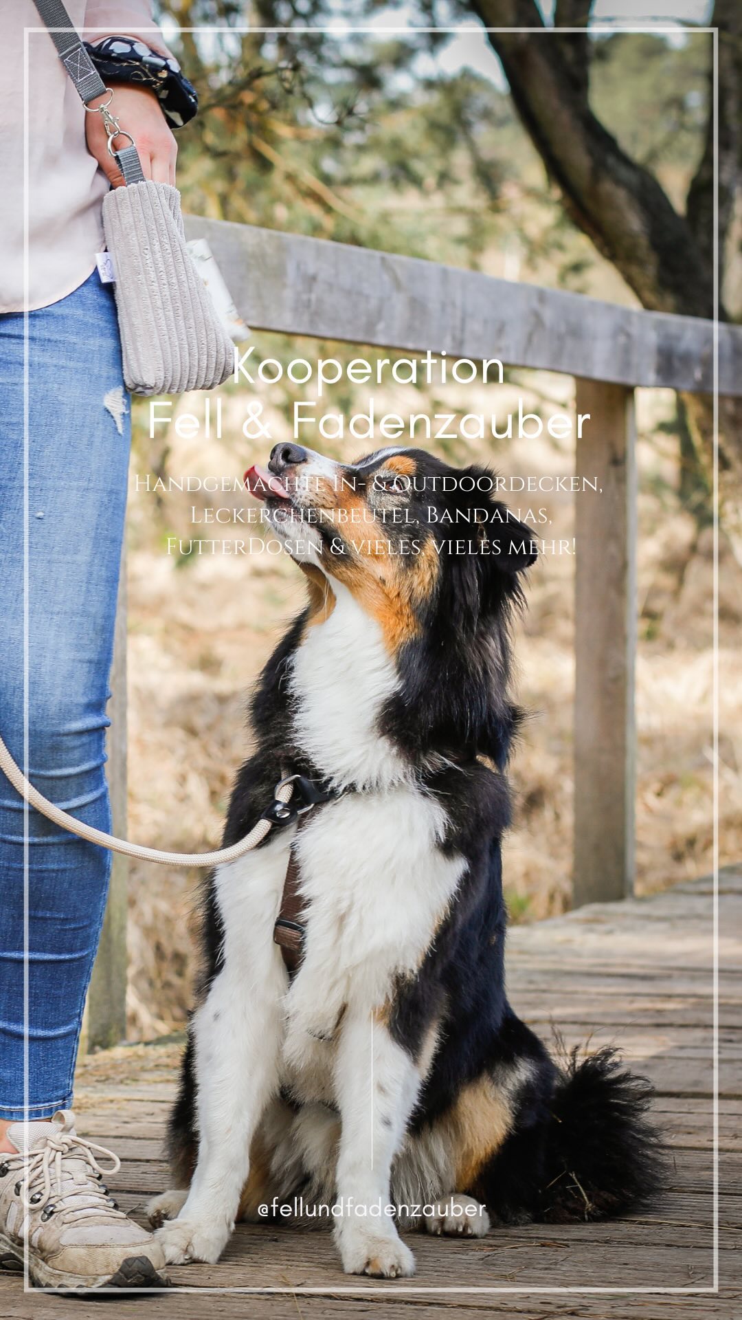 -Kooperation: Fell & Fadenzauber-
•
Wir freuen uns berichten zu können, dass @fellundfadenzauber seit dem 01.04.2024 offizieller Kooperationspartner von uns ist🫶🏼
•
Hinter dieser Seite und Marke steckt mit Laura ein so lieber Mensch mit tollen Ideen, einer großen Portion Motivation und einem großen Herz!
•
Ihre Produkte werden in liebevoller Handarbeit hergestellt und sind es wert mal näher angeschaut zu werden.🙊
•
Wir wissen, dass der ein oder andere von euch auch schon Stücke von @fellundfadenzauber Zuhause hat🙊
•
Wir freuen uns sehr ein Teil von @fellundfadenzauber sein zu dürfen und blicken gespannt in die Zukunft.☺️
•
-> mit unserem Code „Stadtnasen“ könnt ihr 10% auf alles im Shop bei @fellundfadenzauber sparen!
•
•
#hundeliebe #hundeleben #hundefotografie #videogram #videography #hundemodel #dogmodel #dogphotography #dogphoto #dogphotographer #instadog #dogsofinstagram #gsd #dsh #aussie #australianshepherd #aussielove #reels #dogreels