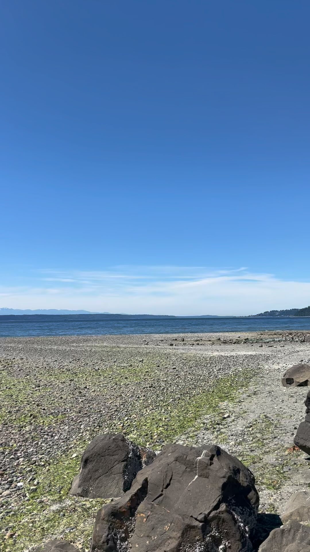 Check out today’s blog post for details on this great South Sound Beach and a link to our favorite tide pooling guide 🐚 🌊 ☀️