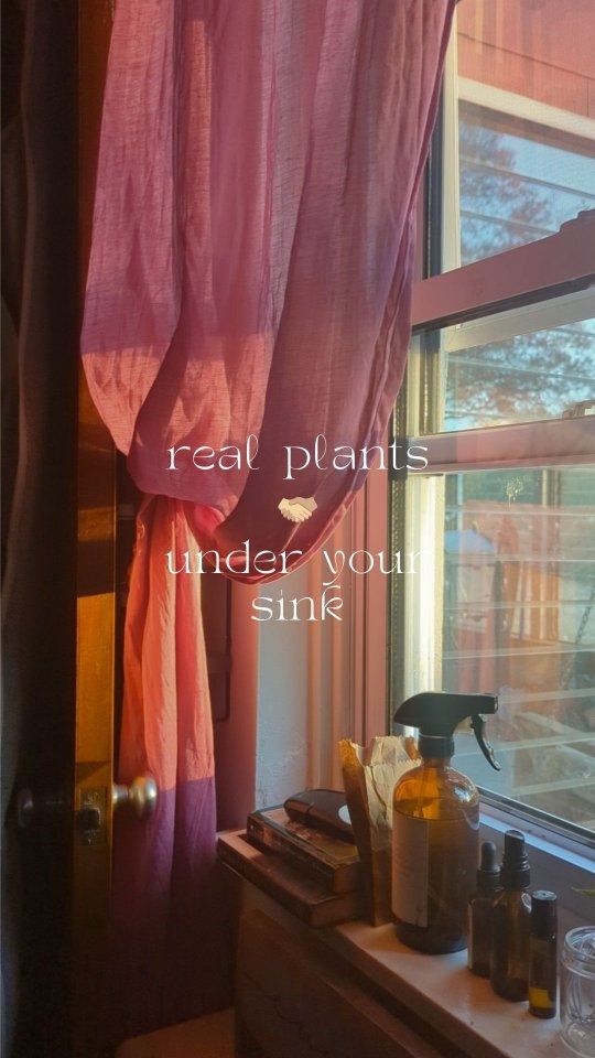 a switch+ditch save for later 🍋
ya know that headache cleaning the bathroom floor? pls can someone open a window?! been there.
the thieves line streamlines your safe cleaning solutions. say goodbye to desperate target runs for chemicals that "smell good," & HELLO being prepared with natural yummy-smelling plants / ingredients that pack in the power themselves.
think raw chicken on the counter meets thieves and LOSES.
plants are rad. comment "CLEAN" & I'll send ya my personal favs(:
#cleanhome #lowtox #lowtoxliving #plantbasedclean #homecleaninghacks #homecleaning #thieves #thievescleaner
11.06.24
