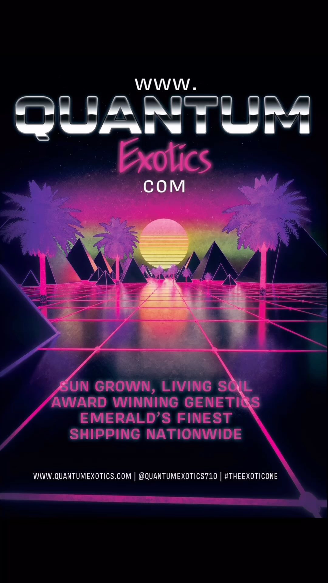 Laser Beams and shit… 🤙🤙🤙 Just wanted to say thank you to everyone and let you know a new automatic loyalty program is set up. The future, Laser beams. #exoticbird