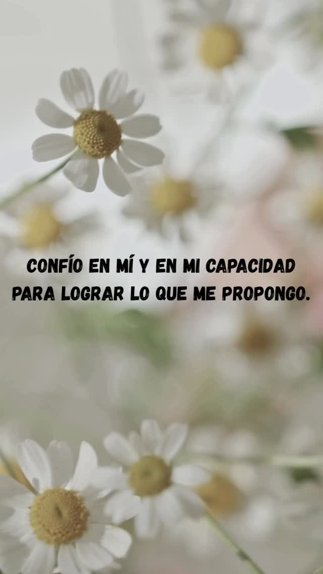 Confía en ti #frasesmetanoia #pensamientopositivo #reel #explorepage #foryoupage