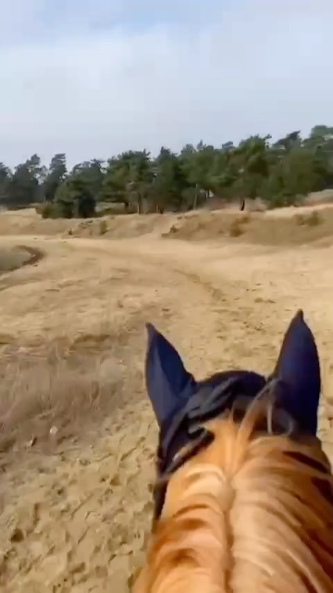 Så här ser en dag ut när eleverna praoar - från elevernas perspektiv. Häromveckan var det dags för prao för våra elever och en del elever kunde kombinera sitt intresse för ridning med praktik. 🐴 #lasos