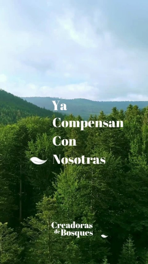 ¿Tu también quieres compensar?
✨ Si tienes una marca este es tu momento. Consigue nuestro Sello COMPENSA y empieza YA a ser más sostenible. Descubre como hacerlo en la Bio.🔝
🌱 Si quieres ayudarnos a plantar bosques como voluntaria tienes tú propio enlace también en la Bio. 💚🌳
Comparte y comenta este Reel con todas las marcas amigas que creas pueden ser más green aquí y ahora. 🙌🏼✨
Estas son algunas de las marcas que ya Compensan con Nosotras.
#creadorasdebosques
#sellocompensa
#mujeresconectadas
#conectadasalatierra