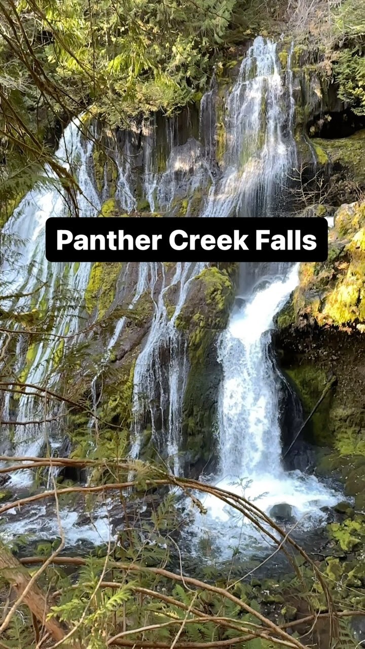 📍 Panther Creek Falls (Washington)
Learning Topics: waterfalls, mushrooms, trees
Risks: some drop offs and slippery edges
#wildandbarefoot #childhood #hikingadventures #hikingwithkids #explorewashington #homeschool #adventurefamily #optoutside #placebasededucation #panthercreekfalls #outdoorkids