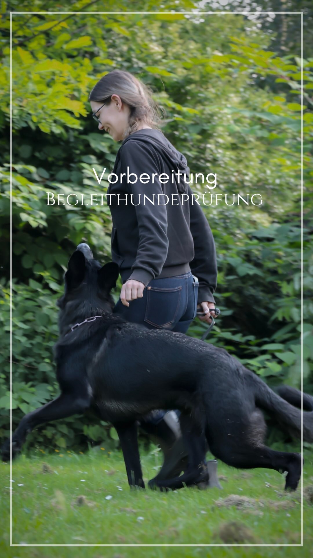 -Vorbereitung auf die Begleithundeprüfung-
•
Die Begleithundeprüfung (BH) ist die Voraussetzung für alle weiteren Prüfungen im Hundesport.
Aber auch wenn ihr keine weiteren Prüfungs- oder Turnierambitionen verfolgt, ist die Begleithundeprüfung ein schönes gemeinsames Trainingsziel.
•
In unserem Vorbereitungsskurs erlernt ihr alle Bestandteile dieser Prüfung, wie Leinenführigkeit („Fuß“ mit Leine), Freifolge („Fuß“ ohne Leine), die Sitzübungen, Ablegen in Verbindung mit Herankommen, die Dauerablage, die Unbefangenheit und den Verkehrsteil, die sogenannte Außenprüfung.
•
Auch, wenn hier sportliche Ambitionen mitspielen achten wir stark darauf, dass die Hunde Spaß an der gemeinsamen Arbeit mit uns haben und dafür viel belohnt werden! 🥰
•
Jeden Dienstag um 18 Uhr in Essen!
•
•
#hundesport #hundetraining #hundetrainer #dogtraining #dogtrainingtips #heelwork #heeling #obedience #dogsport #germanshepherd #gsd #gsdofinstagram #deutscherschäferhund #dsh #schäferhund