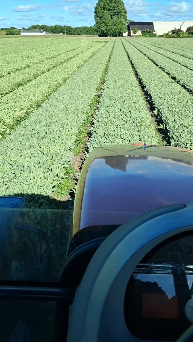 Skitterend weer voor de padenschoffel 😎🌱👋