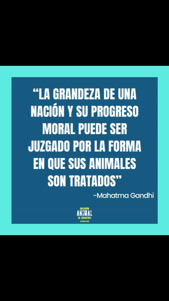 ¿Y si fuésemos a juzgar tu nación de acuerdo a esto? ☝🏽 ¿El resultado sería bueno o malo?
.
En mi caso, nací en Bolivia. He visto gente patear animales callejeros y a otros ser tratados como bebés. Pero en una nación en la cual el consumo de animales y sus derivados está presente en cada comida,y sin cuestionamiento alguno, me es fácil decir que aún tenemos mucho camino por recorrer.
.
.
.
#animalesendesastres #iad #iadlatam #inclusionanimalendesastres #inclusionanimal #cuidadoanimal #ningunanimalsequedaatras #animal #animallovers #animals #amor #ayuda #proteccion #conservacion #educacion #desastres #desastresnaturales #latina #cambioclimatico #refugioanimal #santuarioanimal #pets #wildlife #petsofinstagram #vegan #life #bolivia #desarrollo #mascotasfelices #americalatina
