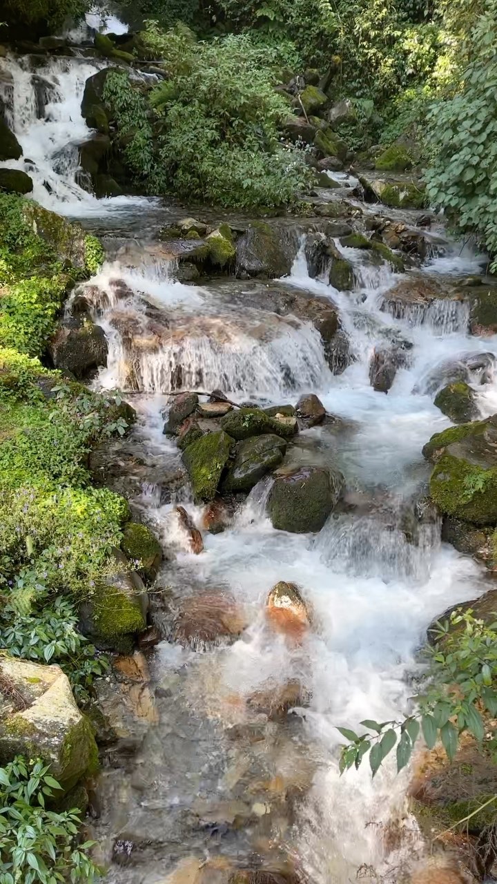 nepal reel series 🇳🇵
part 6
Spent our last night in the mountains in Ghandruk. The old part of this town is purely authentic. I had spent a whole morning visiting nepalese families and capturing raw moments with my camera. (still untouched on my SSD - I’m way behind with my editing stuff…) Can’t wait to share more with you. This is our last post of the hiking reel series from nepal. 🙃
the public bus drive down the mountains on our last day was very creepy. We are glad we had arrived safely back in Pokhara. comment below for questions! have you ever been trekking in Nepal?
@nepal #amazingnepal