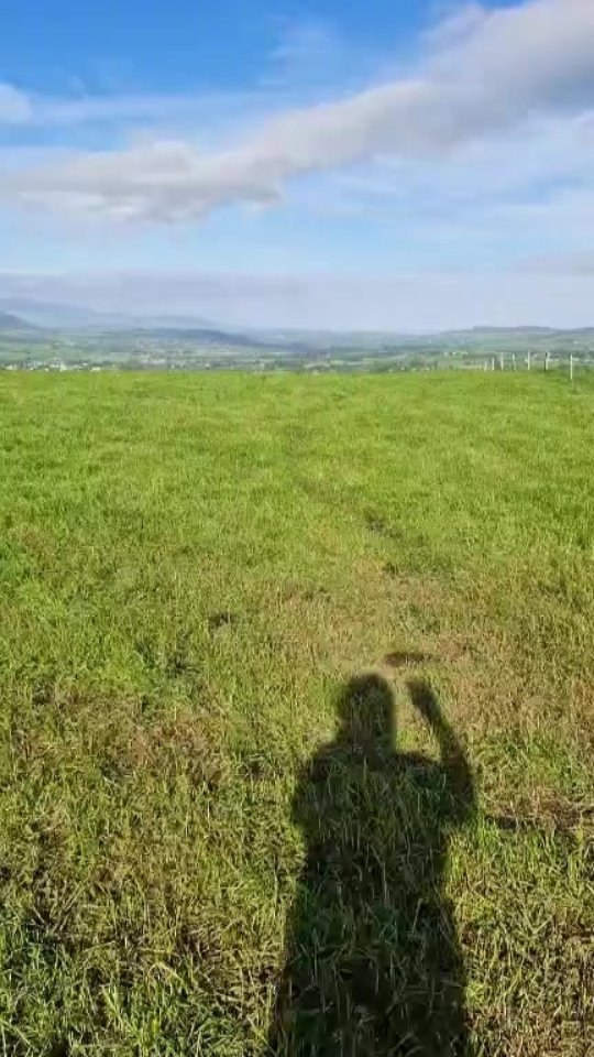 Good morning from a windy wicklow!
#farmanimalsofInstagram #farmingIreland #farming365 #sheepfarmer #sheepofinstagram #sheep365