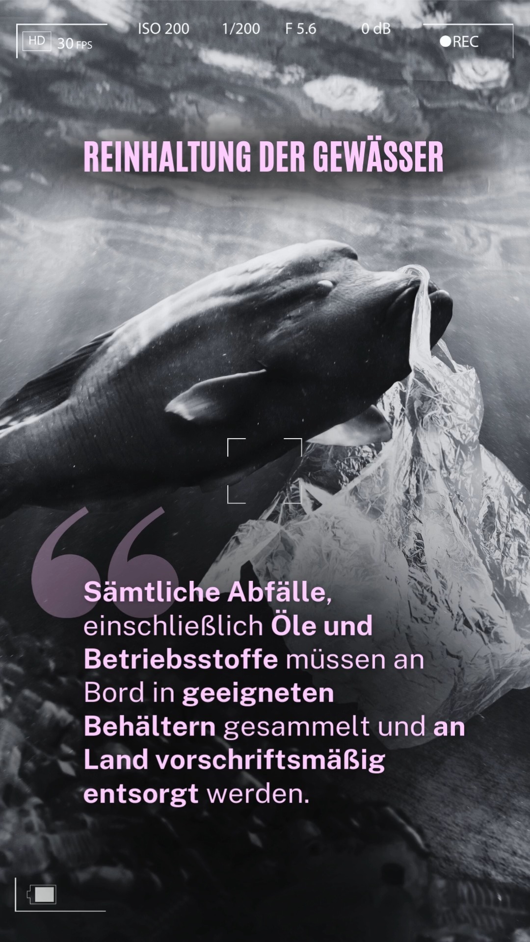 FCK WASTE 🌊⚓️ | Naturschutz geht uns alle an! |
Als Skipper zählt für Dich auch die "Semännische Sorgfaltspflicht". Teil davon ist die Reinhaltung der Gewässer.
"Sämtliche Abfälle, einschließlich Öle und Betriebsstoffe müssen an Bord in geeigneten Behältern gesammelt und an Land vorschriftsmäßig entsorgt werden."
Auf die Umwelt zu achten - dazu braucht es keinen Führerschein! 🗑
www.fahrboot.de
#fahrboot #bootfahren #boat #bootsführerschein #sbf
#see #binnen #sbfbinnen #sbfsee #sea #ocean
#motorboot #segel #segelboot #blog #skipper #nautica
#sportboot #sportbootführerschein #sail #yachting
#skipper #wassersport #boatlife #nautic #captain #missionerde #naturelovers #savetheplanet #zerowaste