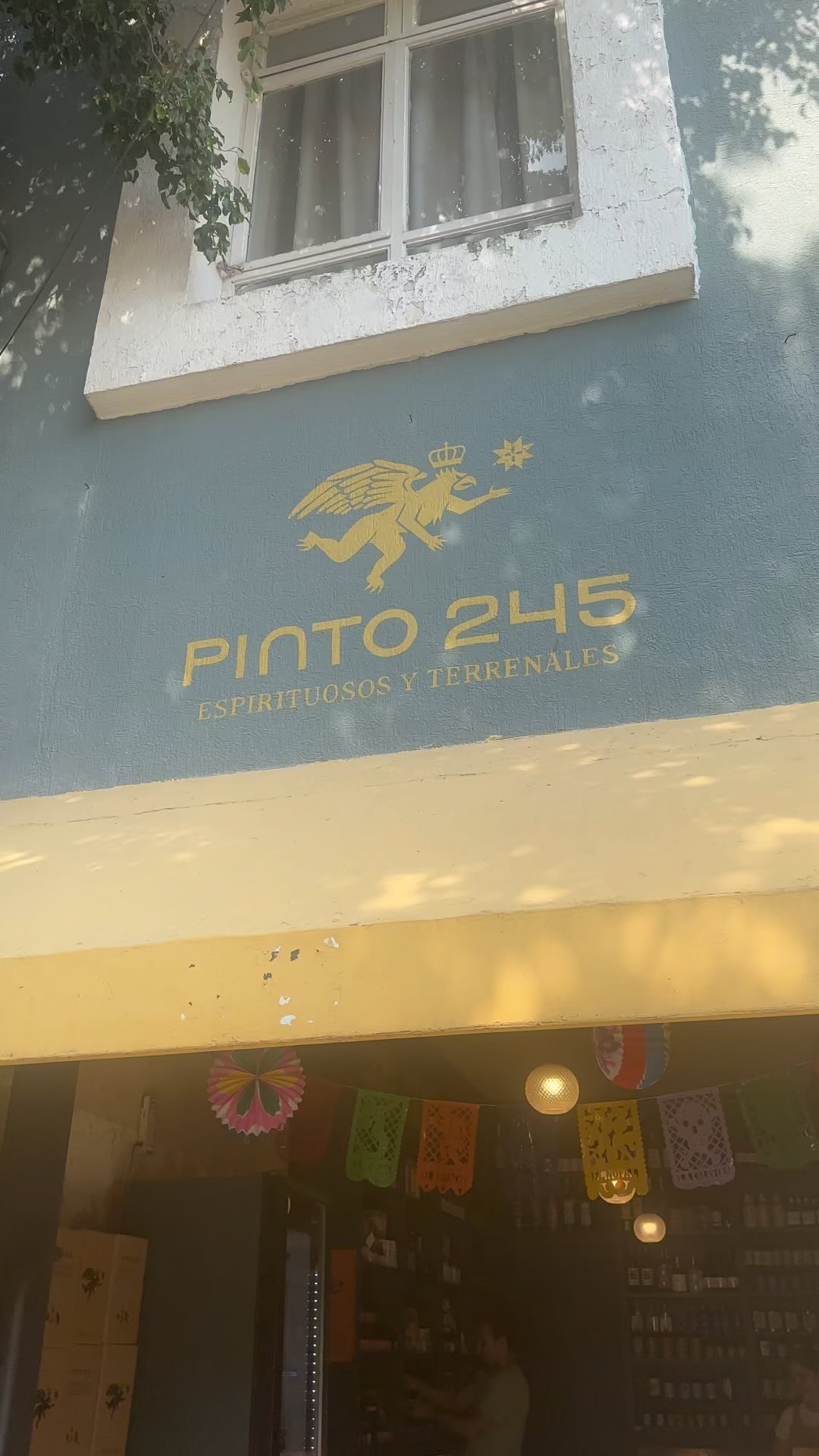 📍Nuevo punto de venta de las tinturas Pachamagic en Guadalajara 🌿💚
Agradecidos de compartir espacio con @pinto_245 🌻🌼🌸 Felices de unirnos a este rincón mágico lleno de marcas relindas y espirituosas 🥰 Si andas por Guadalajara, no olvides pasar a visitar🦩