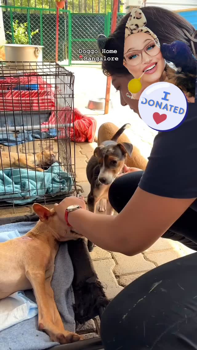 We are passionate about paws everywhere! 🐾🌎❤️ And we are inspired by the incredible work of @sarvoham_animal_foundation 🌟
⠀⠀⠀⠀⠀⠀⠀⠀⠀⠀⠀⠀ ⠀⠀⠀⠀⠀⠀⠀⠀⠀⠀⠀
They're giving the street pups in Bangalore, India, a second chance at happiness - rescuing, rehabilitating, and finding homes for injured, lost, and abandoned dogs. 🐶🥲
⠀⠀⠀⠀⠀⠀⠀⠀⠀⠀⠀⠀ ⠀⠀⠀⠀⠀⠀⠀⠀⠀⠀⠀
From healing paws to hopeful hearts, Sarvoham's mission embodies love and kindness in every action. ❤️ We've donated and invite you to join us in making a difference - because every pup deserves a life filled with cuddles, care, and compassion. Let's spread the love and help these sweet souls find their forever homes! 🐾💖
⠀⠀⠀⠀⠀⠀⠀⠀⠀⠀⠀⠀ ⠀⠀⠀⠀⠀⠀⠀⠀⠀⠀⠀
#PoshPawsWithLove 🐾❤️🌎 #LoveInAction
⠀⠀⠀⠀⠀⠀⠀⠀⠀⠀⠀⠀ ⠀⠀⠀⠀⠀⠀⠀⠀⠀⠀⠀⠀⠀⠀⠀⠀⠀⠀⠀⠀⠀⠀⠀ ⠀⠀⠀⠀⠀⠀⠀⠀⠀⠀⠀⠀⠀⠀⠀⠀⠀⠀⠀⠀⠀⠀⠀ ⠀⠀⠀⠀⠀⠀⠀⠀⠀⠀⠀⠀⠀⠀⠀⠀⠀⠀⠀⠀⠀⠀⠀ ⠀⠀⠀⠀⠀⠀⠀⠀⠀⠀⠀⠀⠀⠀⠀⠀⠀⠀⠀⠀⠀⠀⠀ ⠀⠀⠀⠀⠀⠀⠀⠀⠀⠀⠀⠀⠀⠀⠀⠀⠀⠀⠀⠀⠀⠀⠀ ⠀⠀⠀⠀⠀⠀⠀⠀⠀⠀⠀⠀⠀⠀⠀⠀⠀⠀⠀⠀⠀⠀⠀ ⠀⠀⠀⠀⠀⠀⠀⠀⠀⠀⠀
#rescuedogs #bangalore #bangalorediaries #dogs #puppiesofig #puppies #rescuestories #helpingothers #donate #kindness #doglove #petrescue #sarvoham #sarvohamanimalfoundation #animallover #dogshelter #dogsanctuary #india #savealife #dogloversclub #dogloversofinstagram #secondchances #animalrescue #kindnessmatters #happytails #rescuepup #rescuedog #love