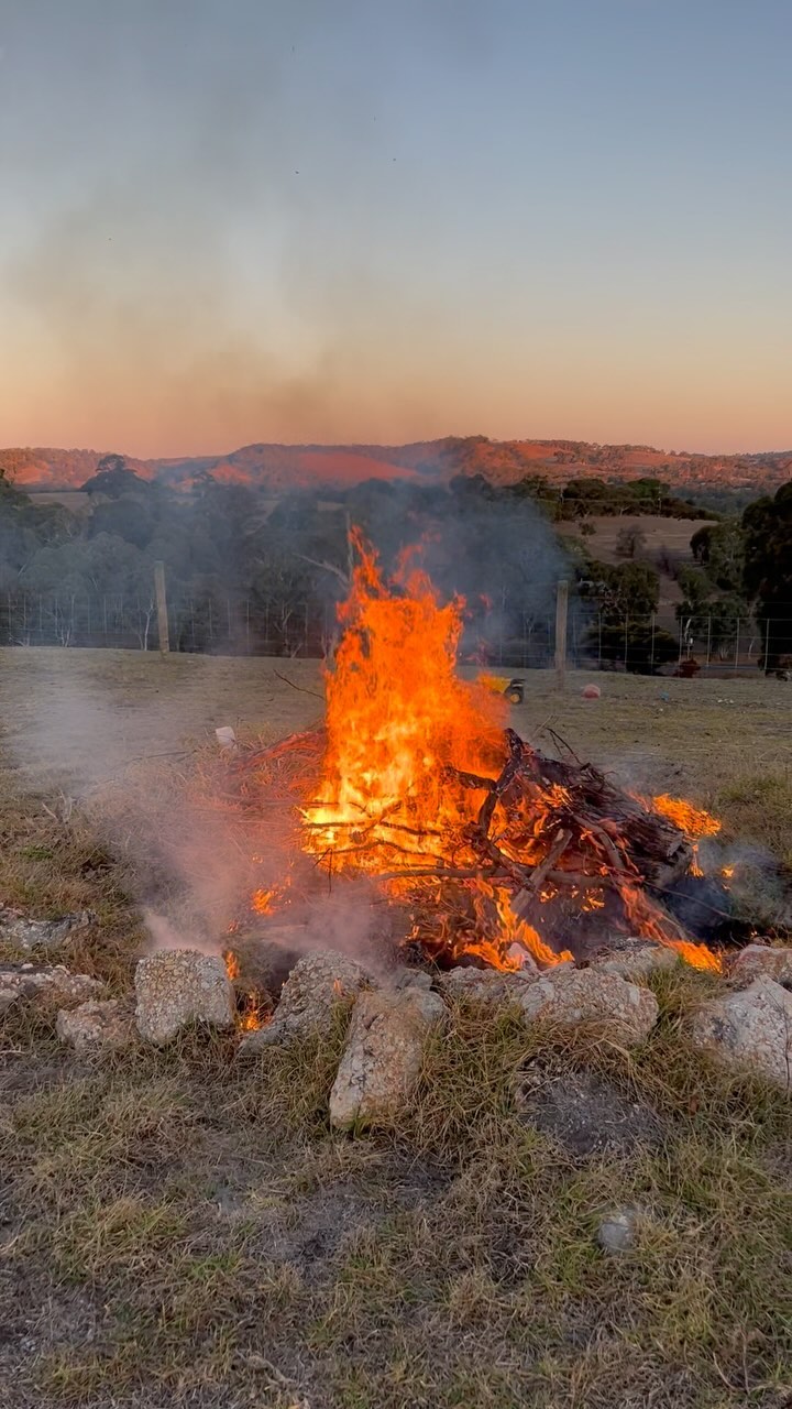 We packed our car to the brim, drove to Adelaide (with our 1 year old and 2 year old 🤪) and had a working break. Adelaide is so beautiful this time of year! 🍂 We had lots of family time, ate some incredibly delicious food, sipped some exquisite Adelaide wine and had some very chilly beach time ✨
That was our first time doing a working break and it was such a great experience 💖