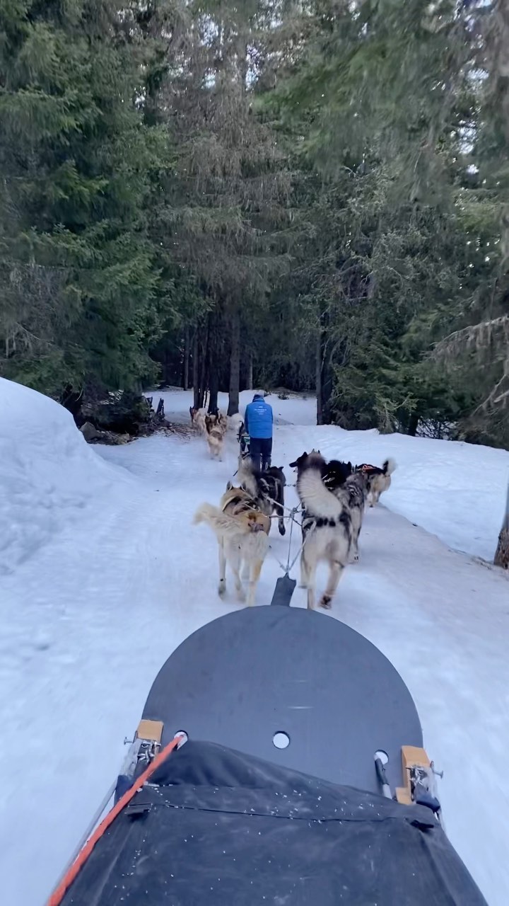 One of the best activities to do with your kids while you are staying at Chalet Menor