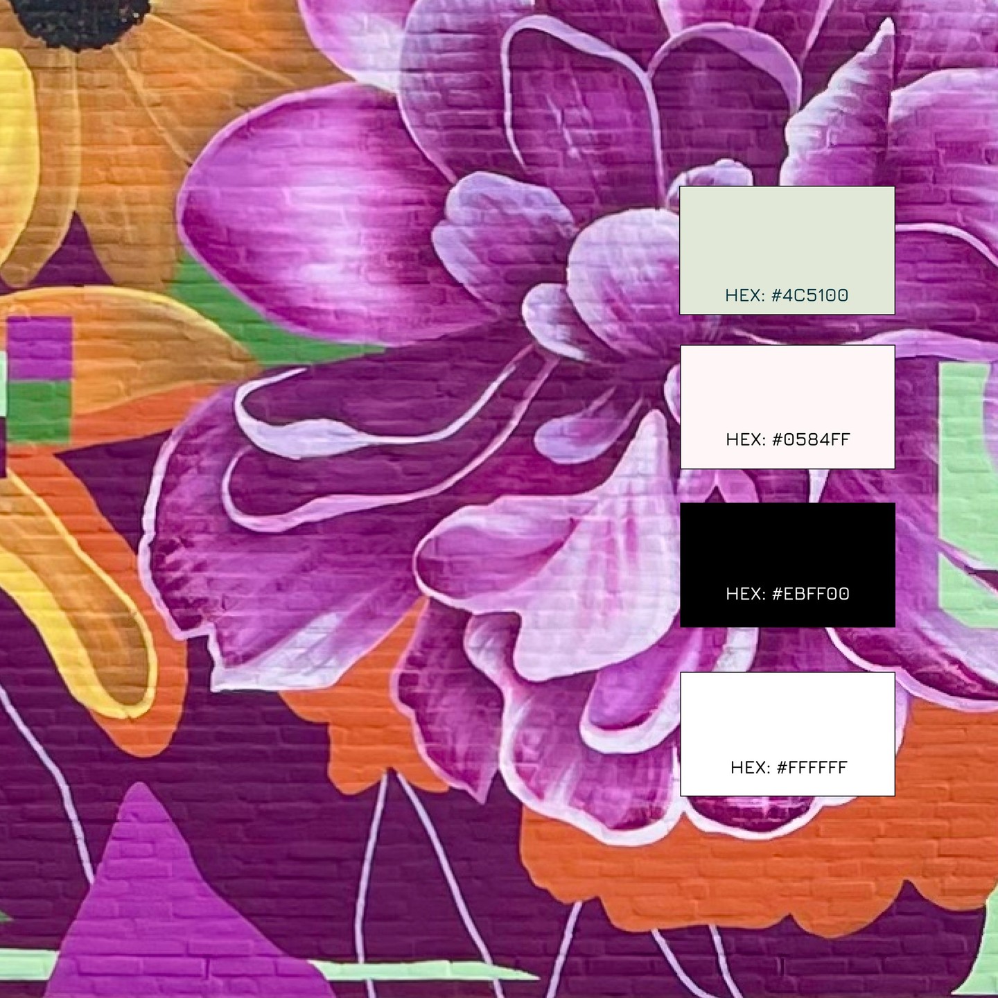 A little sneak peek into the colours and mood of something special we’ve been working on. Inspired by bold street art, playful energy, and a focus on keeping things simple...
✨Reveal coming soon ~ and we can't wait!
#webdesignperth #startupjourney #smallbusinesswebdesign #WebDesign #DesignStudio #FreelanceDesigner #CreativeStudio #StartupDesign #BrandDesign #WebDesignInspo #UIUXDesign #DigitalDesigner #MadeWithFigma #MinimalDesign