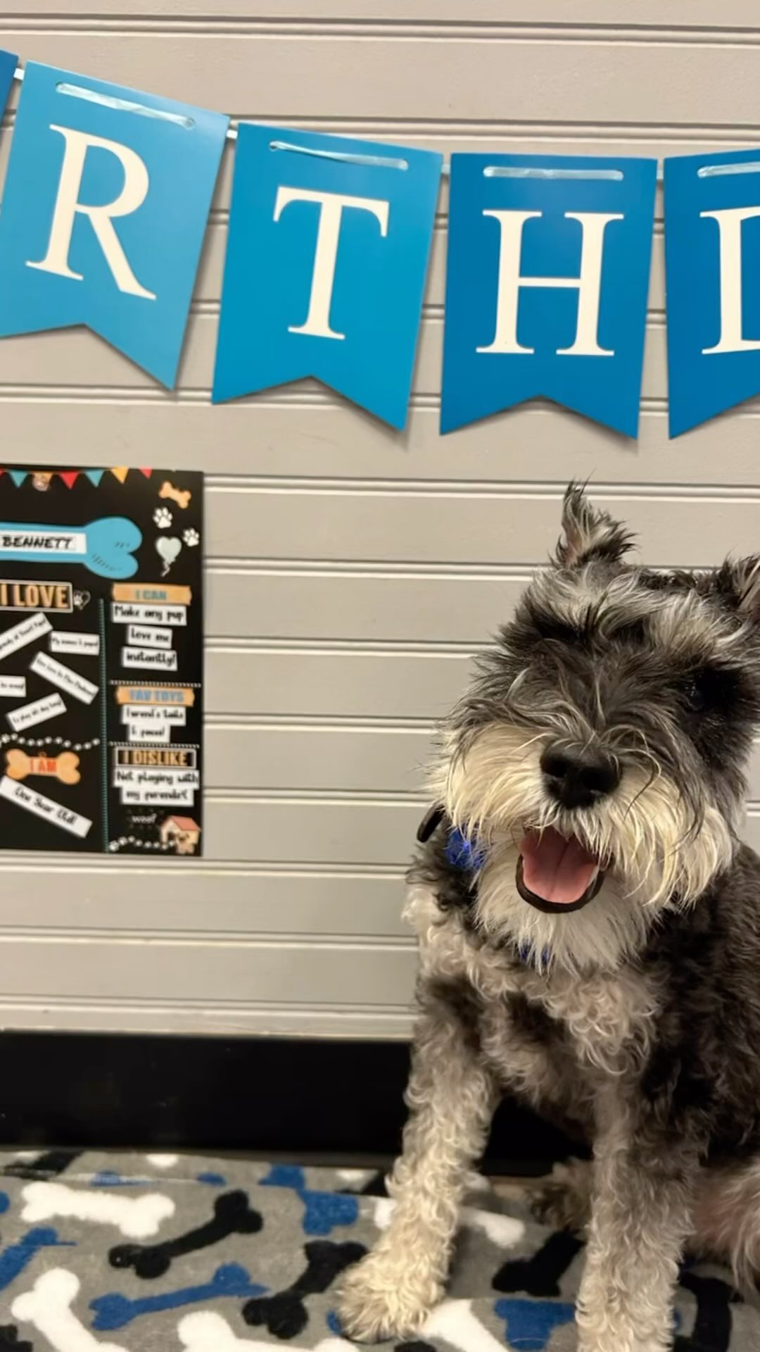 Happy Birthday Bennett! Wishing you many many more!