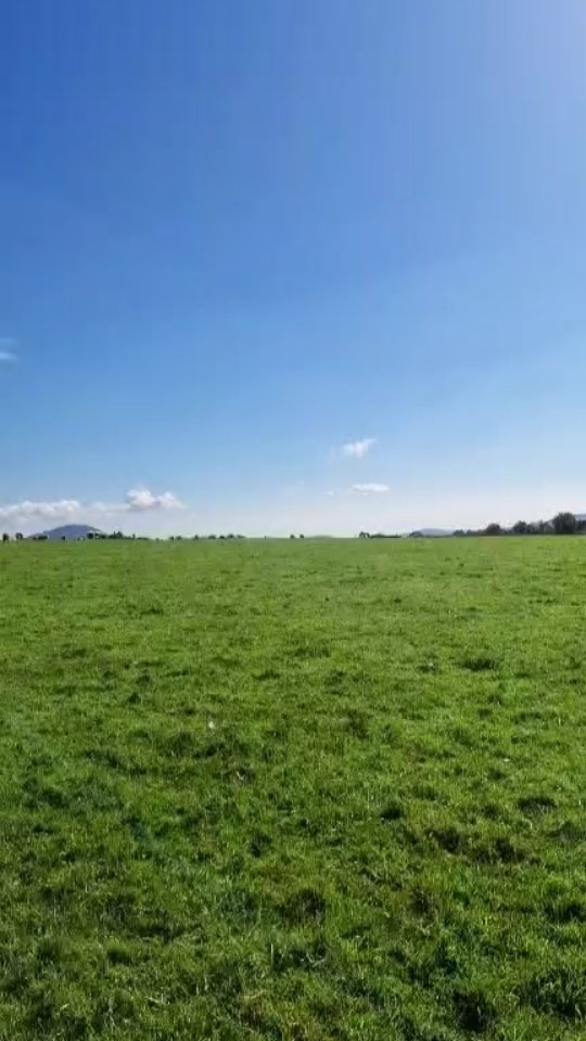 Gotta take the rough with the smooth. A frustrating morning finding 2 dead lambs and a ewe in difficulty. These are the realities of looking after animals.
#farming365 #sheepfarmer #sheep365
