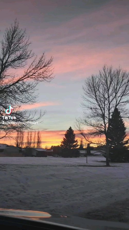 Thank you to all my clients, customers and class participants, what a great year! I wish everyone a Creative, healthy and wonderful 2024! contact me for any of your creative needs, especially pet portraits and private paint parties. Check out my website to see the latest on my drawing board or where you may find me at public events at www.cindysart.ca
#cindyshropshireart #yxh #medicinehatpaintparty #paintyourpet #medicinehatlocalartists #petportraits #custompetportraits