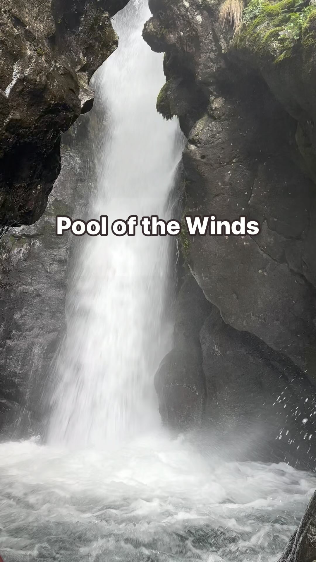 📍 Pool of the Winds (Washington)
Learning Topics: waterfalls, old growth forests, geology
Risks: some drop offs
#wildandbarefootadventures #exploreoregon #hikingwithkids #columbiarivergorge #getoutside #adventurefamily #outdoorkids #resilience #adventure #placebasededucation