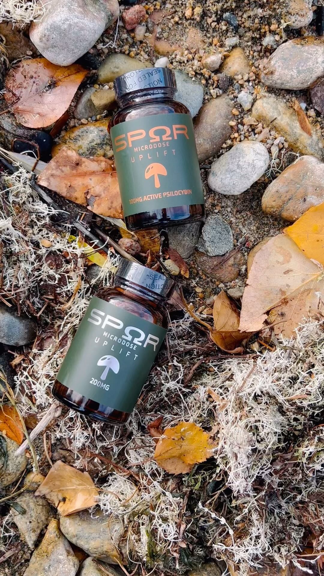 Cheers to a year of mindful journeys, growth, and unlocking your full potential! Wishing you a Happy New Year! 🍄 🌟
#2024