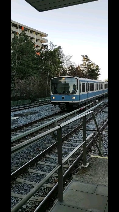 Reupload wegen Ton Problemen
Hier nochmal mein MVG-Türen Video!
Ihr müsst nicht warten bis die Ubahn steht und grün blinkt, ihr könnt die ganze Fahrt über drücken und die Tür geht automatisch auf. Auch von der gegenüberliegenden Seite aus!
Teilt es und erzählt es weiter, damit die ganzen hektischen Grantler nicht immer auf dem Sensor umanandahauen wie die Stiere...
LG Mofliz
(reupload, weil beim Original auf einmal der Ton verschwunden ist)
#mvg #ubahn #münchen #münchenubahn #ubahntür #muenchen #u6