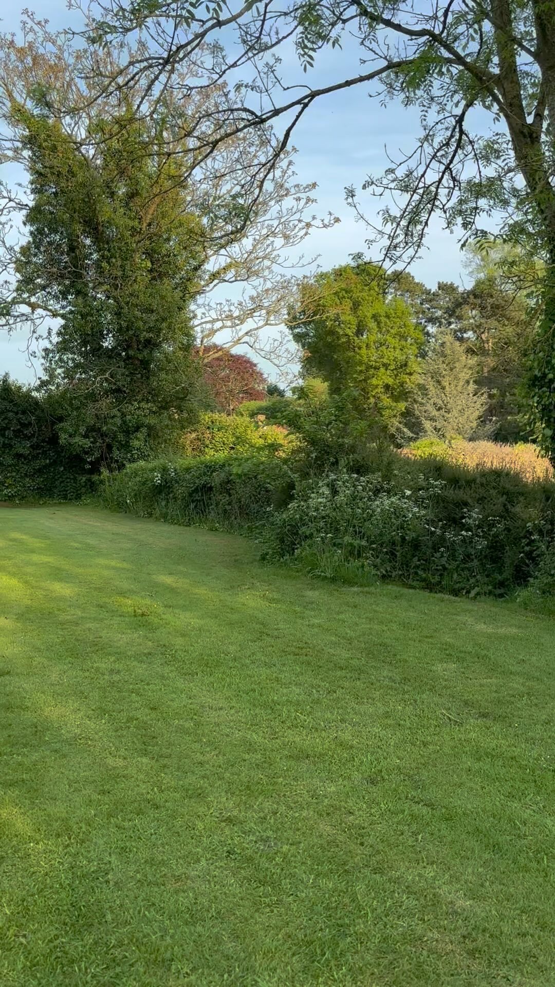 It’s like heaven here, such a beautiful spot in the countryside and the orbs 🥰