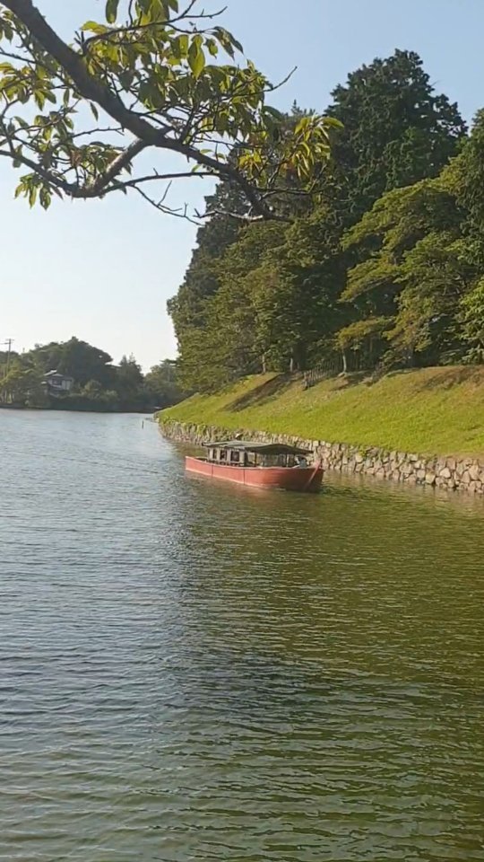 You are so lovely Japan! We saw and did so many things that are impossible to fit in one short video. So many more we didn't have enough time for. We'll be back.
.
.
.
#japantravel #wheninjapan #whenintokyo #teamlabplanets #kyototravel #kyototrip