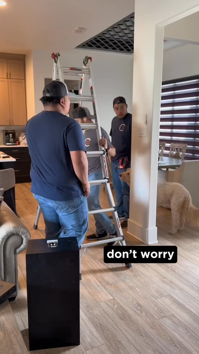 At Cielo Systems, we work for your entire family, even ones with paws…
#cielosystems #network #data #cable #pets #dog #lowvoltage #paws