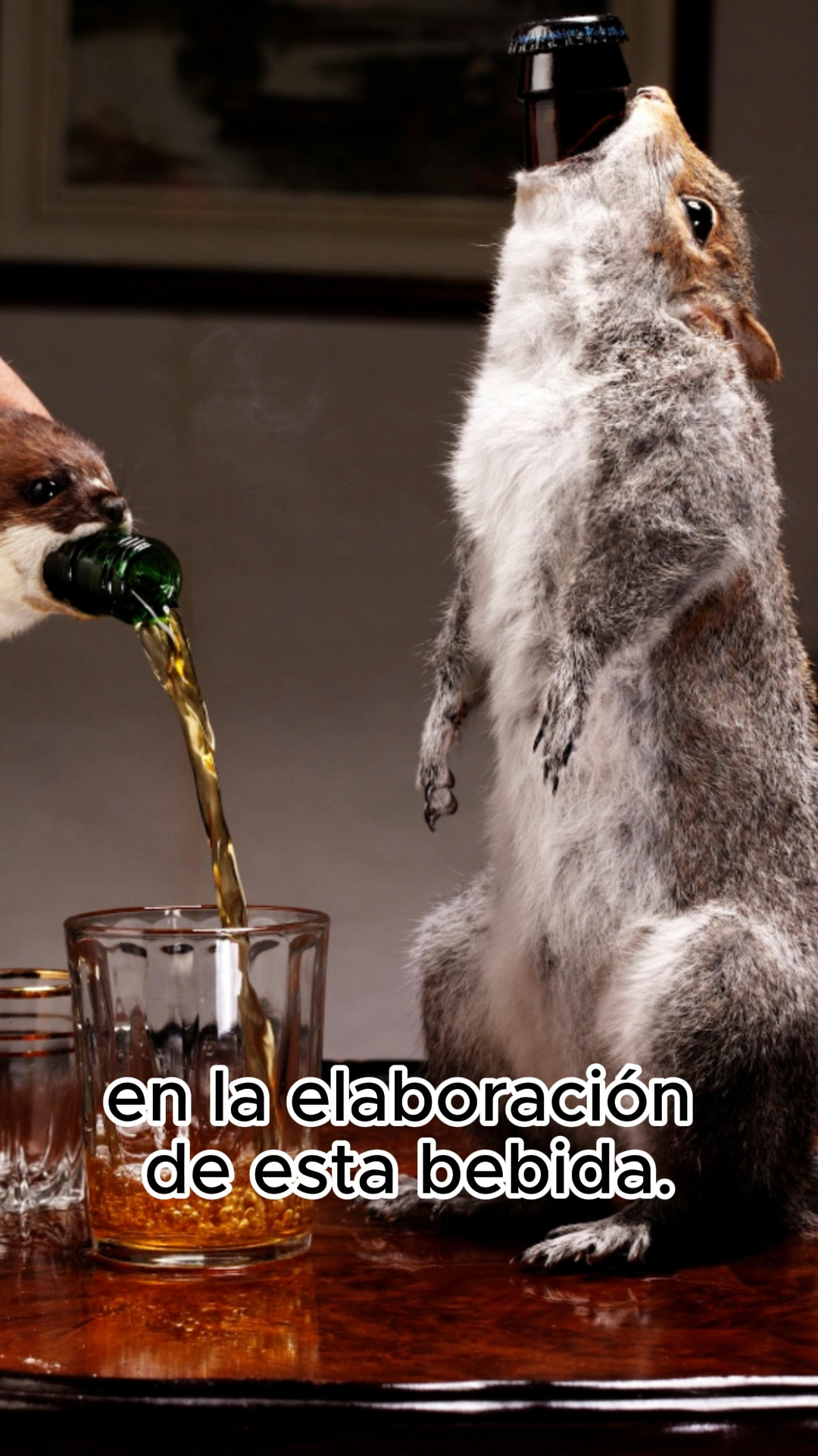 Cervezas extrañas: The End of History, fue una cerveza creada por @brewdogofficial costaba $20,000 dolares cada botella, y tenia 55% ABV.
#beerscool #CervezasExtrañas #educacioncervecera #beerhistory #beergeek #beertography #craftbrew #cervezaartesanal #beerschoolmx #stout #imperialrussianstout #anchorbrewery #beereducation #beerlife #roadkill