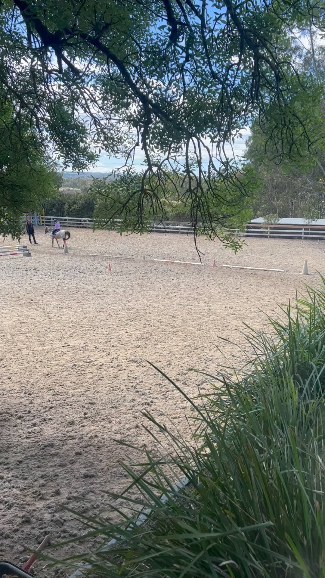 🐴TERM 4 HAS BEGUN🐴
Wowza! Can you believe Term4 has officially started?!
We can’t wait to see all of our amazing riders back for another great term of riding. Let’s finish the year strong and have fun, fun and FUN! 😁
#valleyparkridingschool #valleypark #horseriding #horseridinglessons #melbourne #kidsactivities #horse #pony #poniesofinstagram #horsesofinstagram