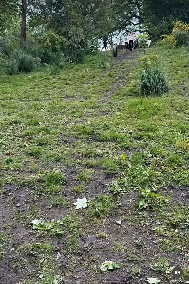 Tyre chase? Let the games begin! These guys are professionals…come test your tyre chasing skills at @hegiins 🛞🏅🐾
#games #dogwalk #dogfield #dog #halifax #dogpark #doglover #happypup