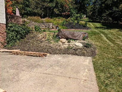 We salvaged this dawn of redwood and left some beautiful slabs for the home owner.