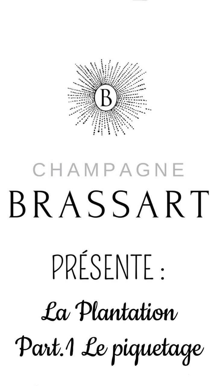 Nous sommes heureux de vous présenter la première partie de nos vidéos explicatives concernant la plantation. En effet la plantation est une étape clé dans la vie d’un vignerons même si elle se fait rare. Nous espérons que cette première vidéo vous aide à comprendre le système de plantation d’une vigne. La partie 2 arrive bientôt sur notre compte, n’hésitez pas à nous suivre pour ne pas l’a louper.
#champagne #vignes #vignesenchampagne #champagnebrassart #plantation #plantationvigne