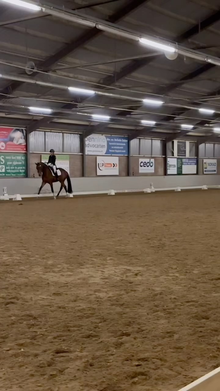 Bo🩷
Wat een geweldige elegante merry! Bo is pas 4 jaar oud maar wat een kwaliteit heeft ze nu al. In slechts twee officiële wedstrijden heeft ze al laten zien hoeveel talent ze wel niet heeft. Beide proeven gewonnen met scores van 70% en 71,5%.
Het is geweldig om te zien welke grote stappen ze al heeft gemaakt in de korte periode dat we nu samen trainen.
Wat ben ik ongelooflijk trots op haar🥰