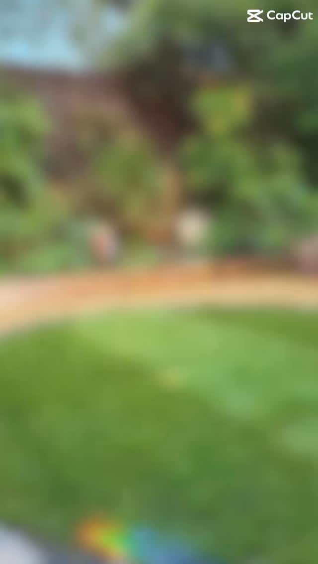 🌿✨ Another Garden Makeover Complete! ✨🌿
We have created a peaceful and practical outdoor retreat. Here’s what we’ve added:
🪵 Raised garden beds supported by rustic railway sleepers for natural charm and structure
🪨 A beautifully curved sandstone patio—perfect for relaxing or entertaining
💧 A sleek water feature built into a custom red brick base, adding a touch of tranquillity
🌱 A circular lawn framed with decorative gravel, bringing softness and balance to the space
🌾 Willow wicker fence panels for both privacy and a warm, organic feel
This space now blends elegance with earthy textures, ideal for enjoying the outdoors in comfort and style.
📍 Get in touch with Deeba Surfacing and Landscaping to bring your garden vision to life!
#GardenTransformation #DeebaLandscaping #OutdoorLiving #LandscapingIdeas #GardenGoals